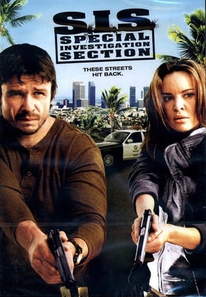 SIS Special Investigation Section 2008 Hindi Dual Audio [1.1GB]